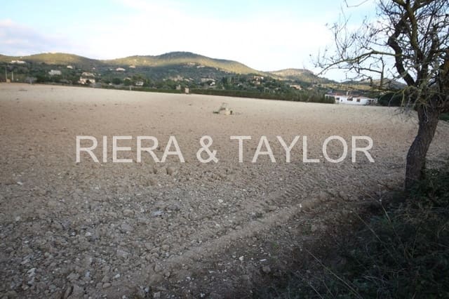 Ubebygd land til salgs i Manacor - € 170 000 (Ref: 5488734)