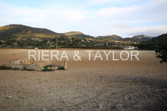 Ubebygd land til salgs i Manacor - € 170 000 (Ref: 5488734)