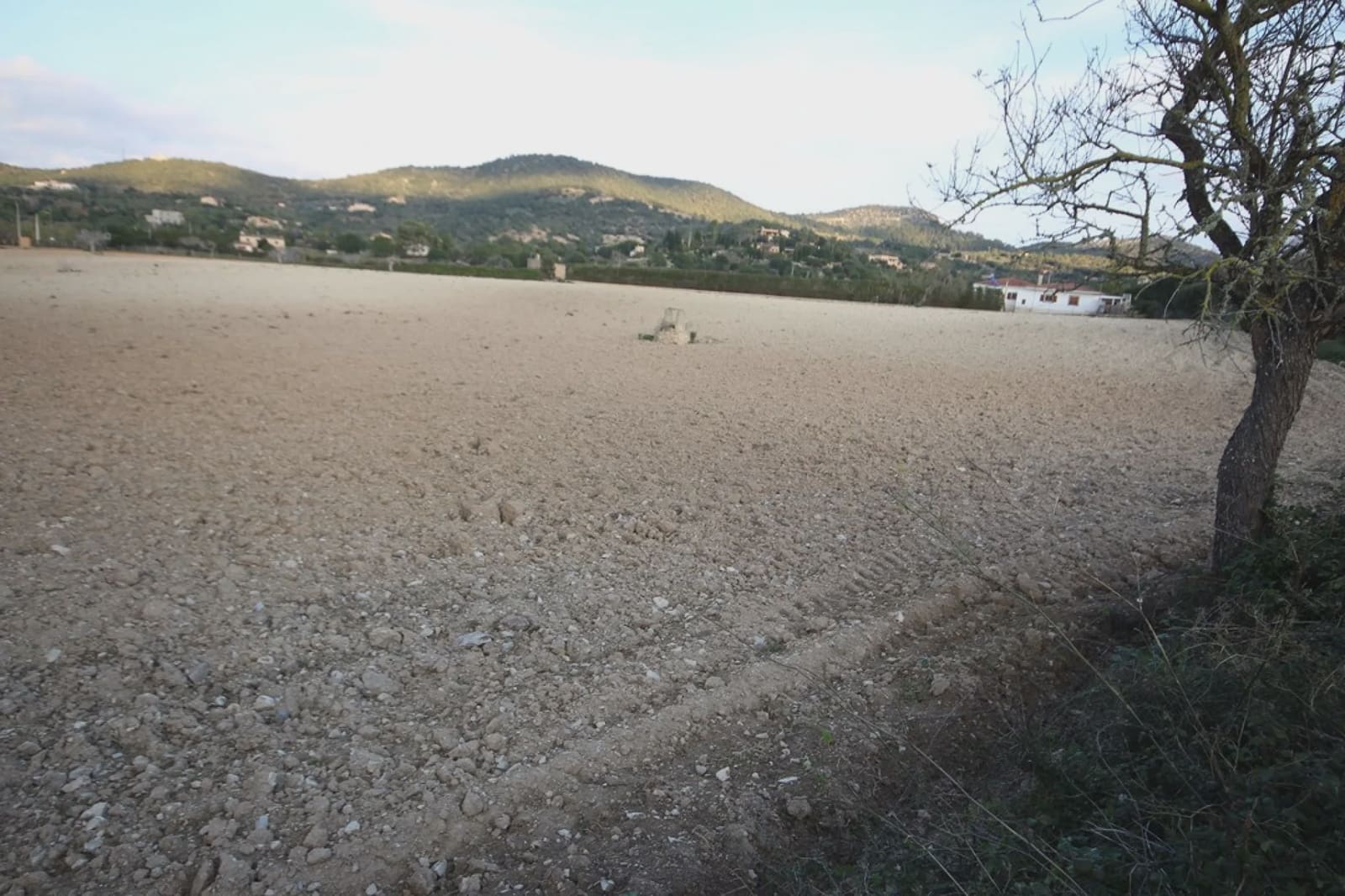 Undeveloped Land for sale in Manacor - € 170,000 (Ref: 5488734)