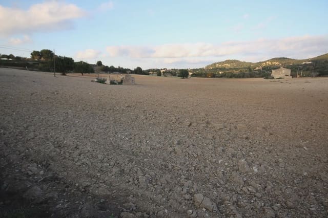 Grunde uden byggetilladelser til salg i Manacor - € 170.000 (Ref: 5488734)