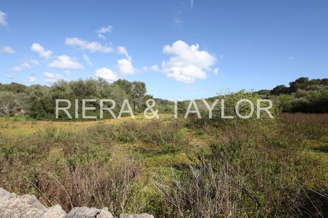 Grunde uden byggetilladelser til salg i Porto Petro, Santanyí - € 454.000 (Ref: 5488760)