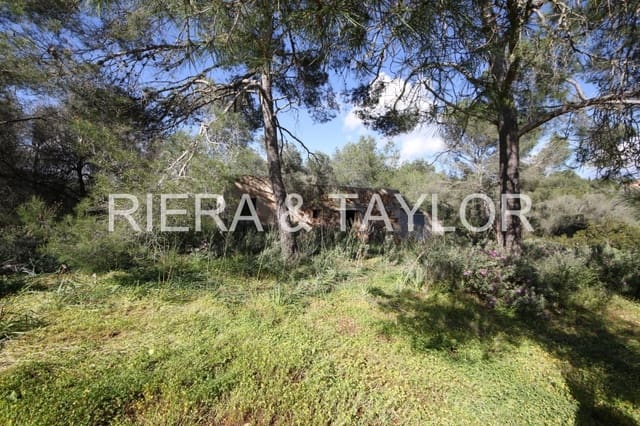 Undeveloped Land for sale in Porto Petro, Santanyí - € 454,000 (Ref: 5488760)