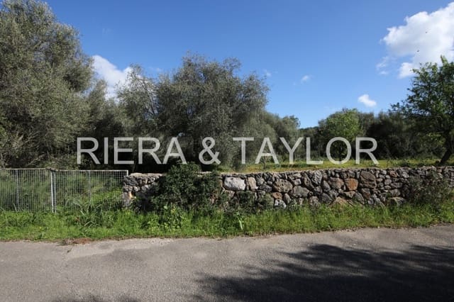Undeveloped Land for sale in Porto Petro, Santanyí - € 454,000 (Ref: 5488760)
