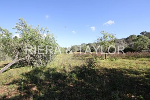 Grunde uden byggetilladelser til salg i Porto Petro, Santanyí - € 454.000 (Ref: 5488760)