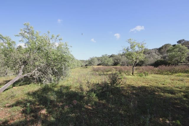 Ubebygd land til salgs i Porto Petro, Santanyí - € 454 000 (Ref: 5488760)