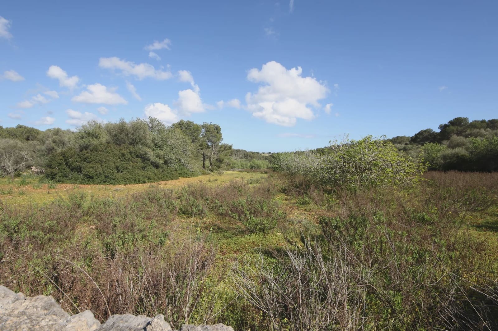 Mark till salu i Porto Petro - 454 000 € (Ref: 5488760)