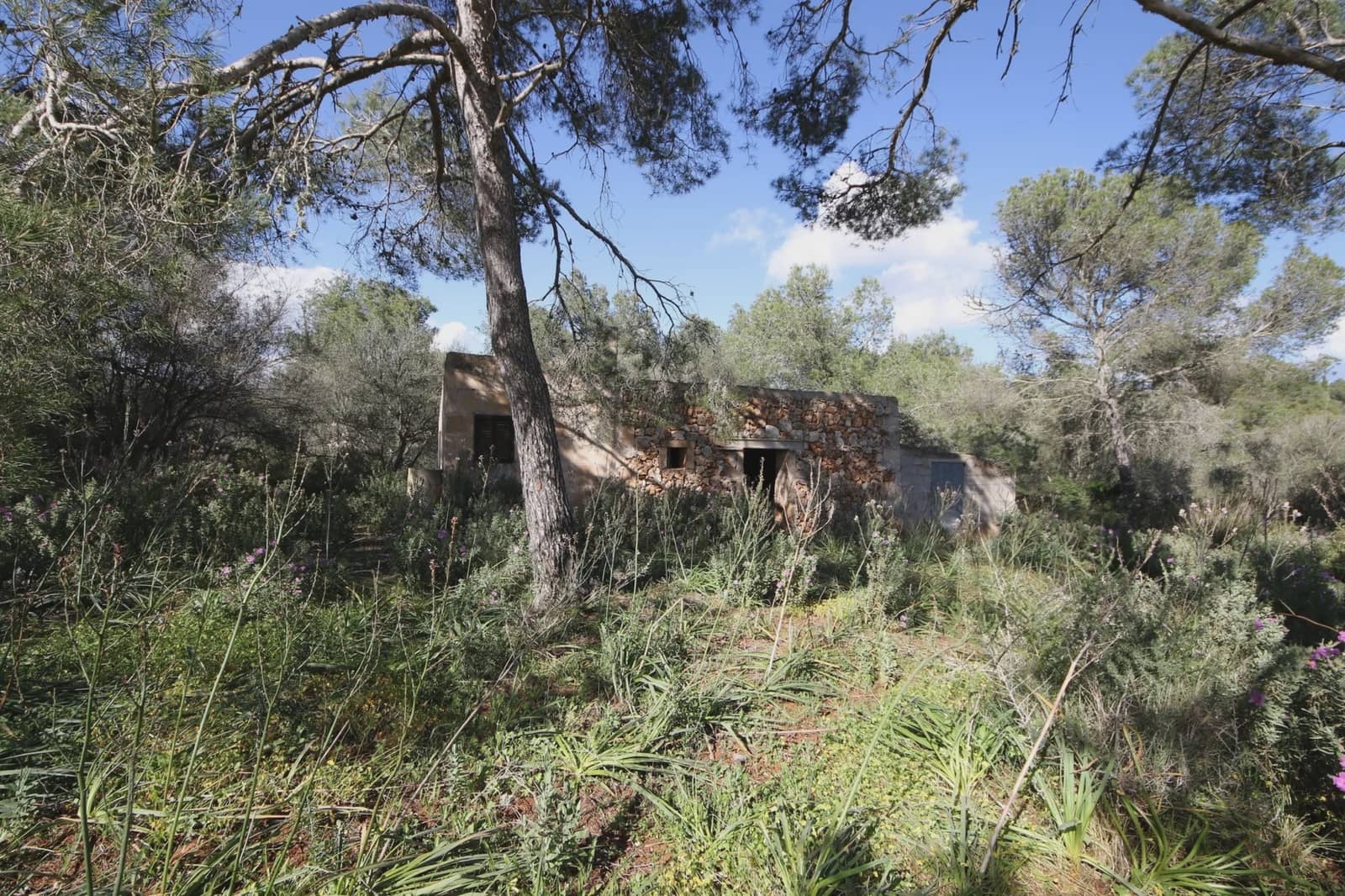 Mark till salu i Porto Petro - 454 000 € (Ref: 5488760)