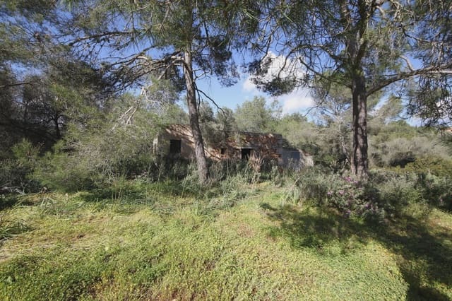 Ubebygd land til salgs i Porto Petro, Santanyí - € 454 000 (Ref: 5488760)