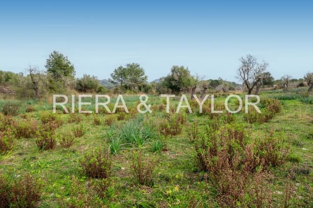 2 quarto Quinta/Casa Rural para venda em Artà - 525 000 € (Ref: 5488805)