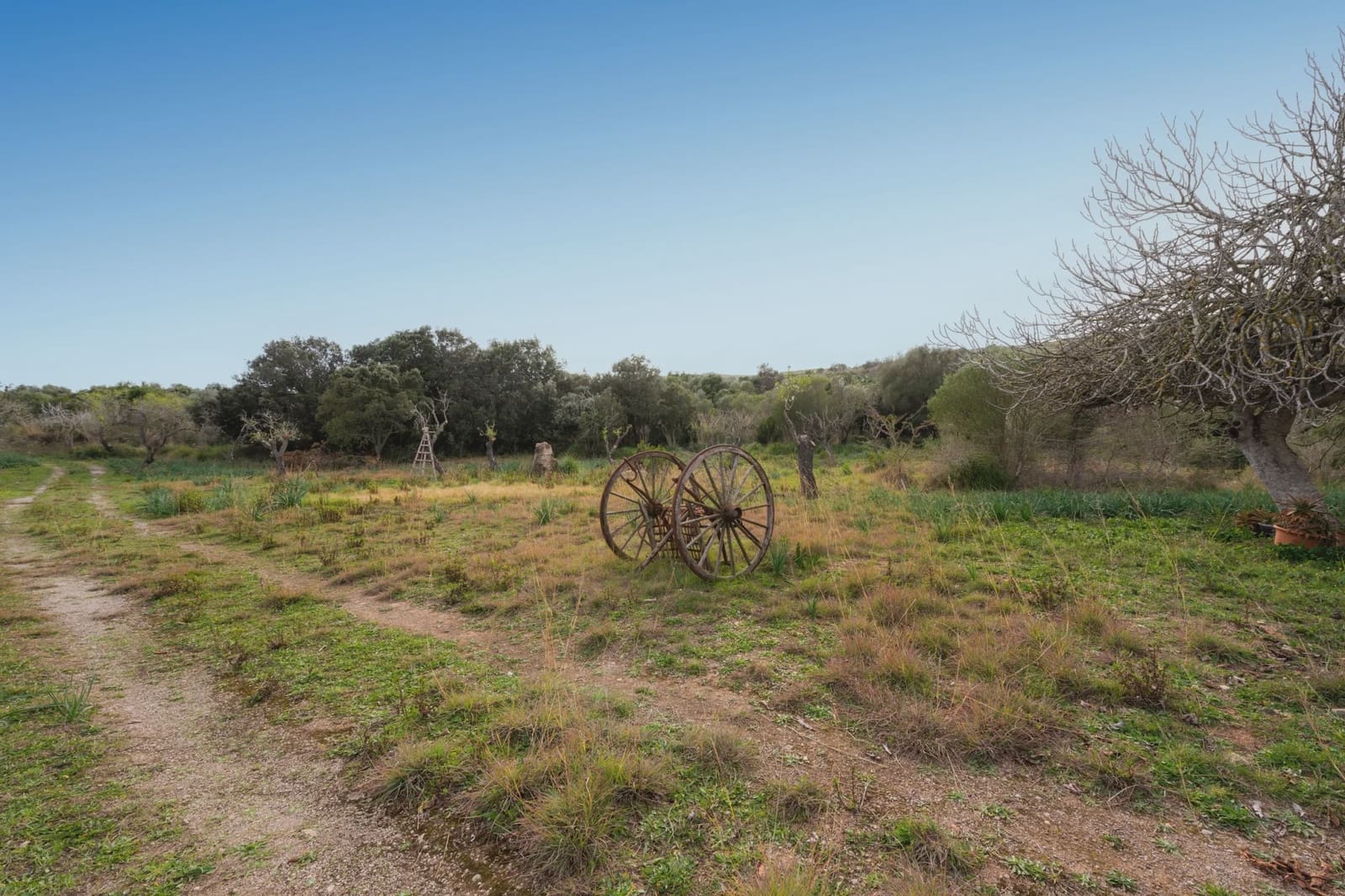 2 slaapkamer Finca/Landhuis te koop in Arta - € 525.000 (Ref: 5488805)