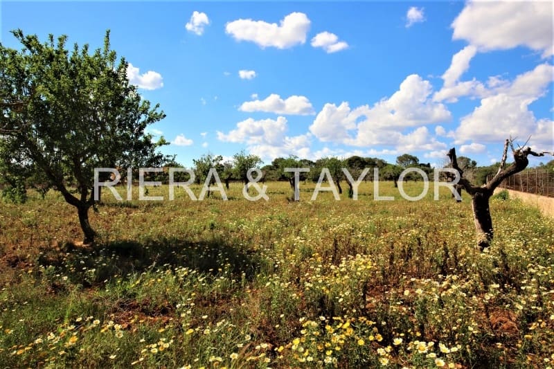 Terreno Non Edificato in vendita in Portocristo / Port de Manacor - 97.000 € (Rif: 5488808)