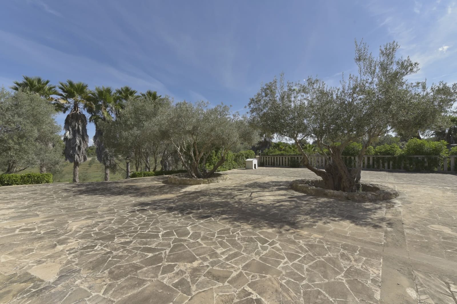 9 soveværelse Finca/Landehus til salg i Arta - € 3.000.000 (Ref: 5491805)