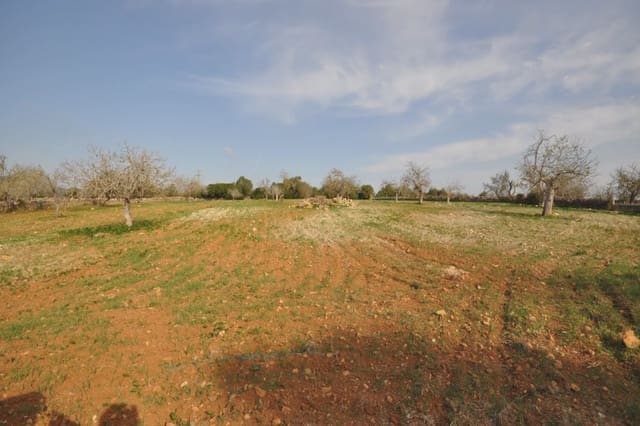 Finca/Landhuis te koop in Sant Llorenç des Cardassar - € 165.000 (Ref: 5491970)