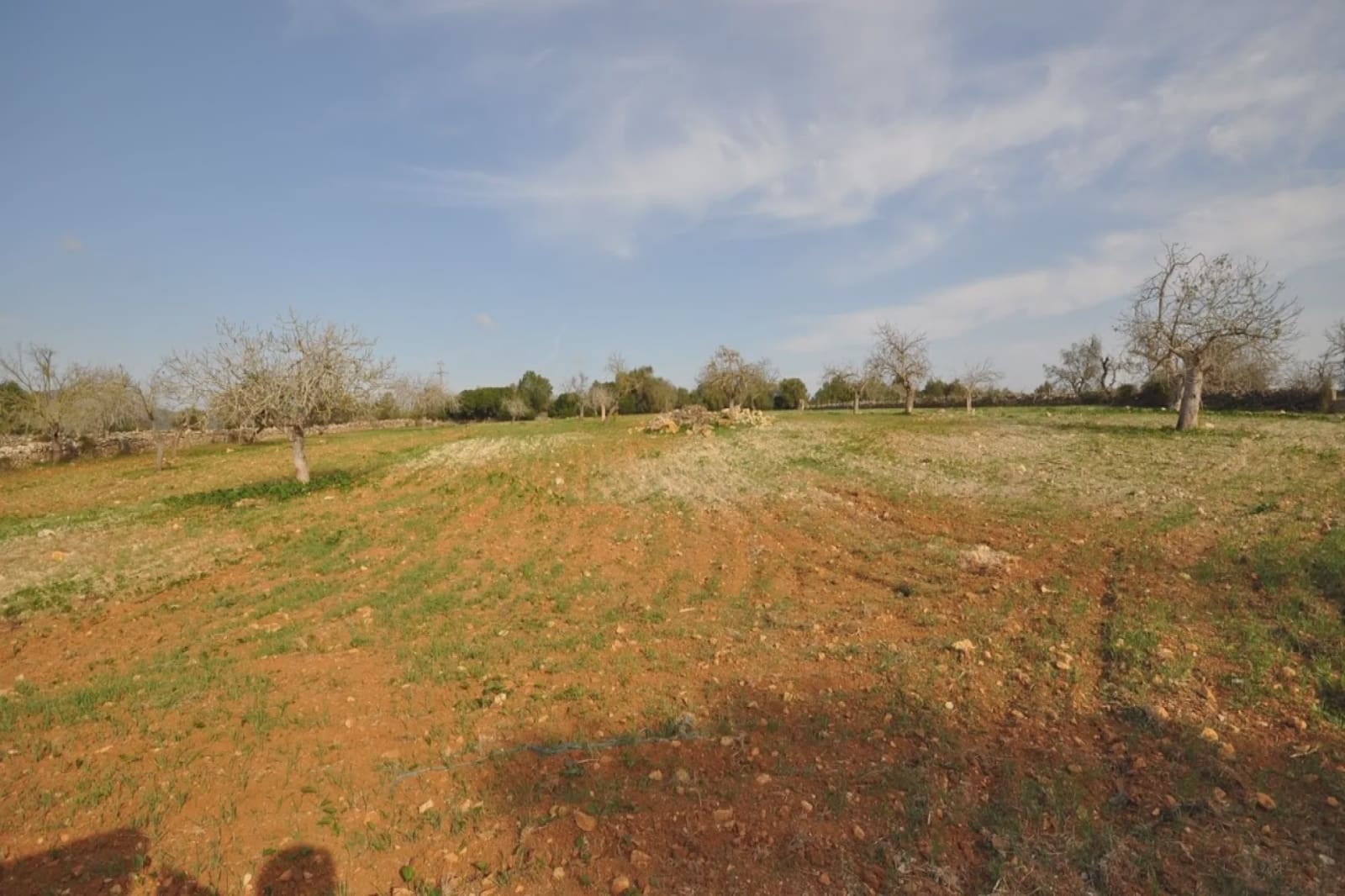 Finca/Country House for sale in Sant Llorenc des Cardassar - € 165,000 (Ref: 5491970)