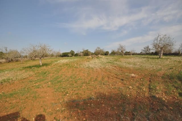 Finca/Landhuis te koop in Sant Llorenç des Cardassar - € 165.000 (Ref: 5491970)