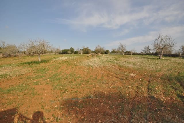 Finca/Landhuis te koop in Sant Llorenç des Cardassar - € 165.000 (Ref: 5491970)