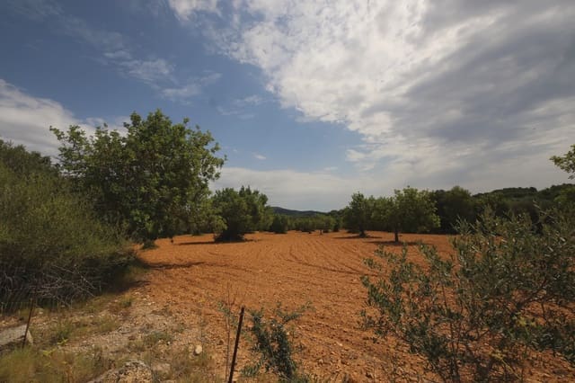Undeveloped Land for sale in Felanitx - € 260,000 (Ref: 5493328)