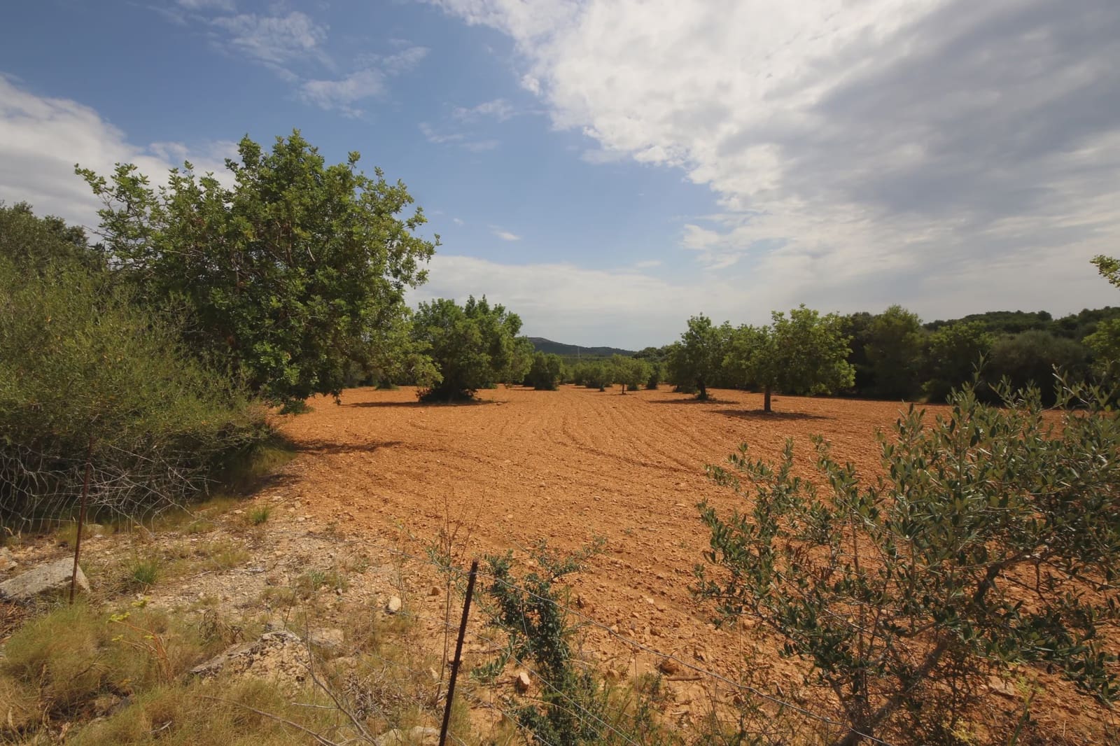 Undeveloped Land for sale in Felanitx - € 260,000 (Ref: 5493328)
