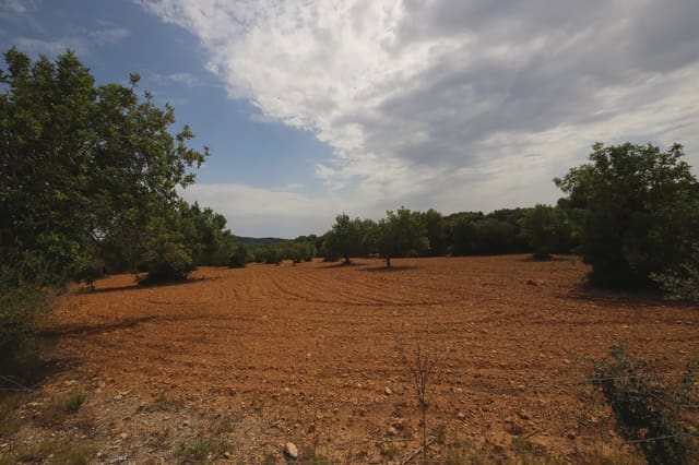 Undeveloped Land for sale in Felanitx - € 260,000 (Ref: 5493328)