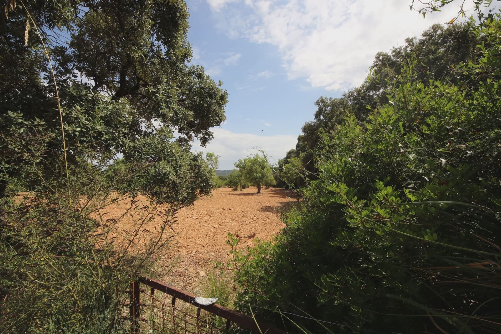Undeveloped Land for sale in Felanitx - € 260,000 (Ref: 5493328)