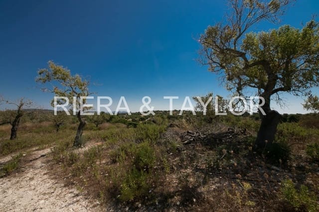 Undeveloped Land for sale in Manacor - € 450,000 (Ref: 5493346)