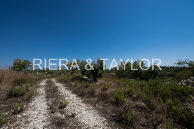 Undeveloped Land for sale in Manacor - € 450,000 (Ref: 5493346)