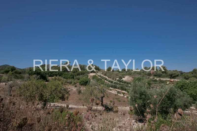 Undeveloped Land for sale in Manacor - € 450,000 (Ref: 5493346)