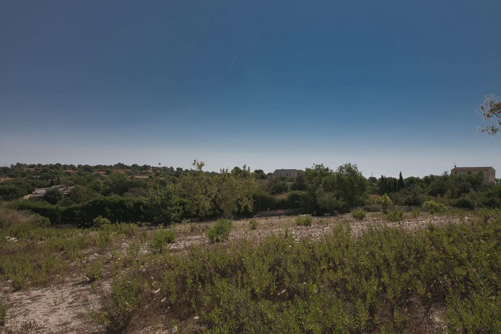Undeveloped Land for sale in Manacor - € 450,000 (Ref: 5493346)