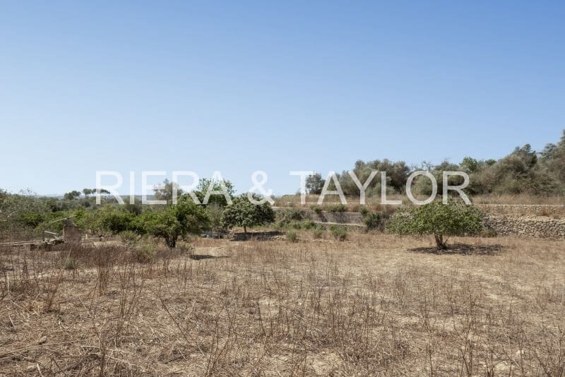 Maalaistalo myytävänä paikassa Maria de la Salud / Maria de la Salut - 260 000 € (Ref: 5493365)