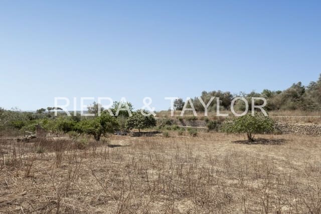 Maalaistalo myytävänä paikassa María de la Salud / María de la Salut - 260 000 € (Ref: 5493365)