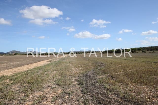 Undeveloped Land for sale in Manacor - € 20,000 (Ref: 5496193)