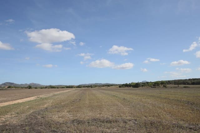 Grunde uden byggetilladelser til salg i Manacor - € 18.000 (Ref: 5496193)