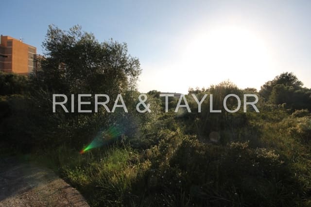 Byggetomt til salgs i Calas de Mallorca, Manacor - € 168 000 (Ref: 5496244)