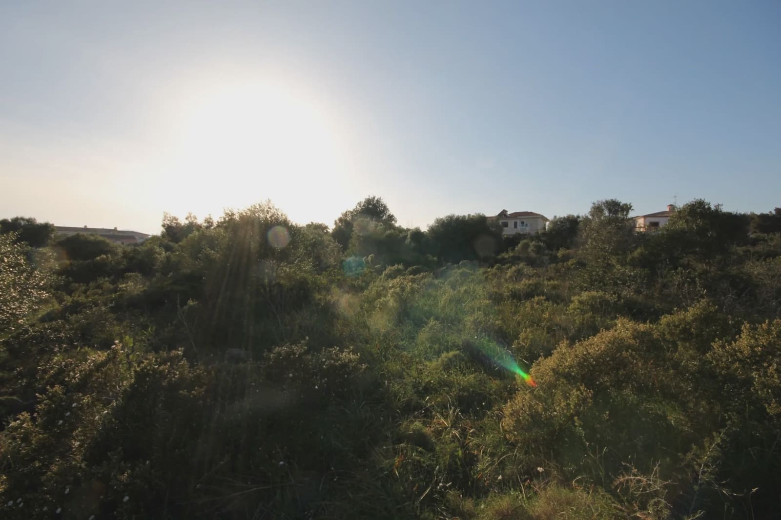 Byggegrund til salg i Calas de Mallorca - € 168.000 (Ref: 5496244)