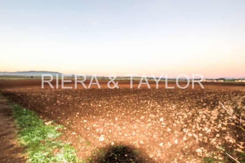 Terre non Aménagée à vendre à Vilafranca de Bonany - 250 000 € (Ref: 5497855)