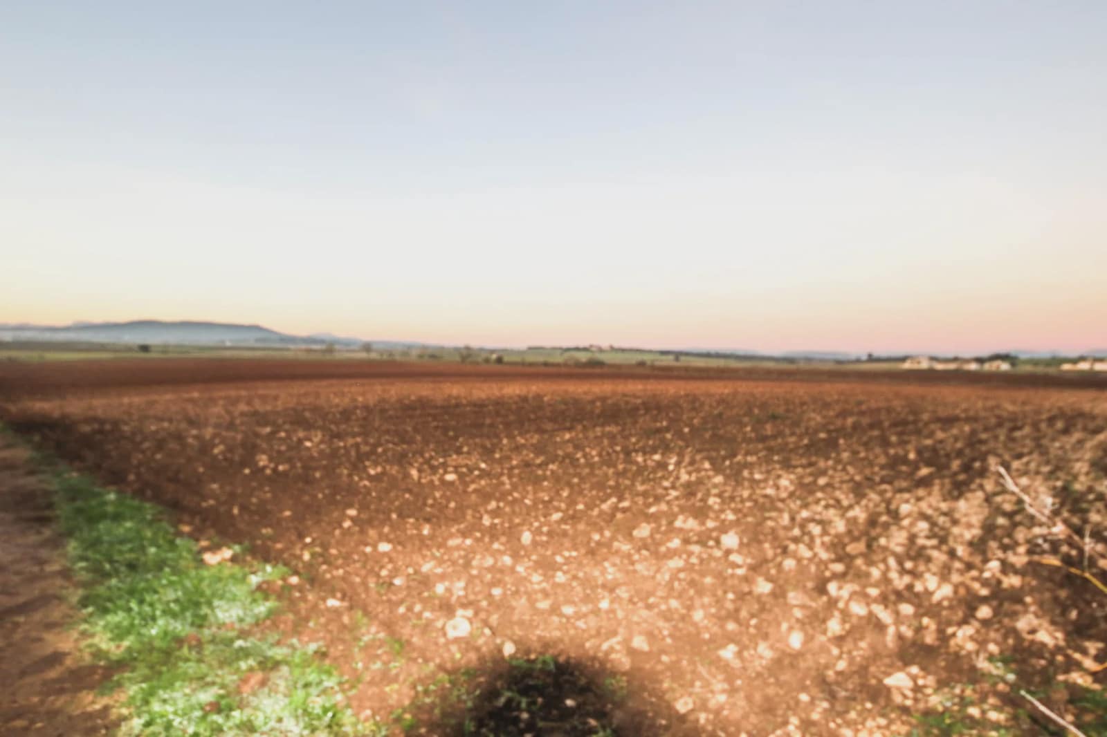 Undeveloped Land for sale in Vilafranca de Bonany - € 250,000 (Ref: 5497855)