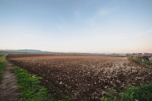 Landgrundstück zu verkaufen in Vilafranca de Bonany - 250.000 € (Ref: 5497855)