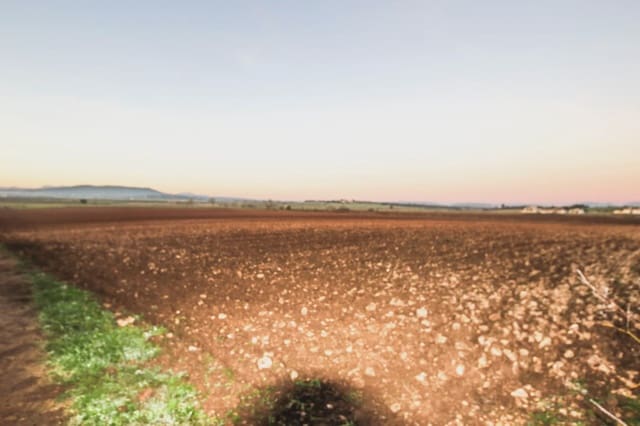 Landgrundstück zu verkaufen in Vilafranca de Bonany - 250.000 € (Ref: 5497855)