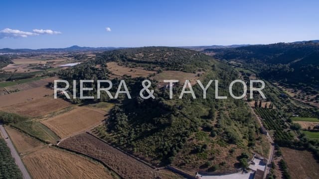 1 slaapkamer Finca/Landhuis te koop in Manacor - € 2.500.000 (Ref: 5498589)