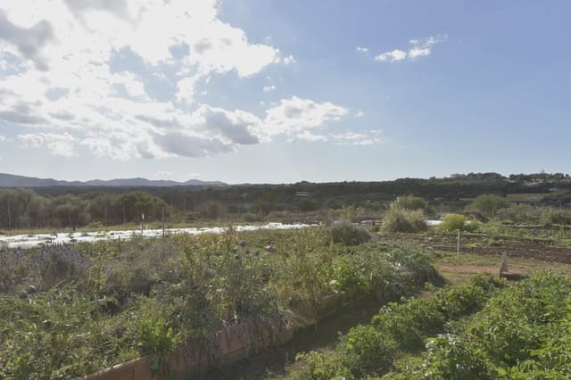 Finca/Landehus til salg i Portocristo / Port de Manacor, Manacor - € 399.900 (Ref: 5922527)