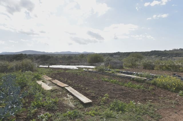 Finca/Landehus til salg i Portocristo / Port de Manacor, Manacor - € 399.900 (Ref: 5922527)