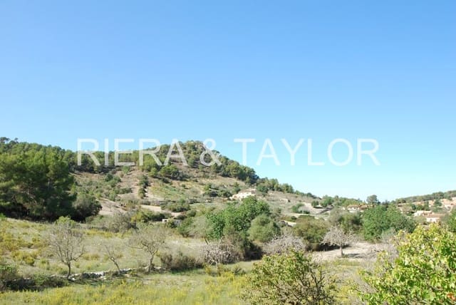 5 bedroom Finca/Country House for sale in Son Macia, Manacor - € 2,180,000 (Ref: 5985575)