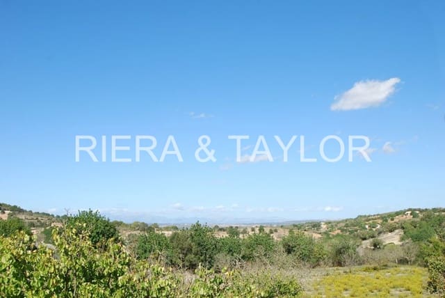 5 bedroom Finca/Country House for sale in Son Macia, Manacor - € 2,180,000 (Ref: 5985575)