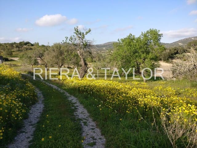 5 bedroom Finca/Country House for sale in Son Macia, Manacor - € 2,180,000 (Ref: 5985575)
