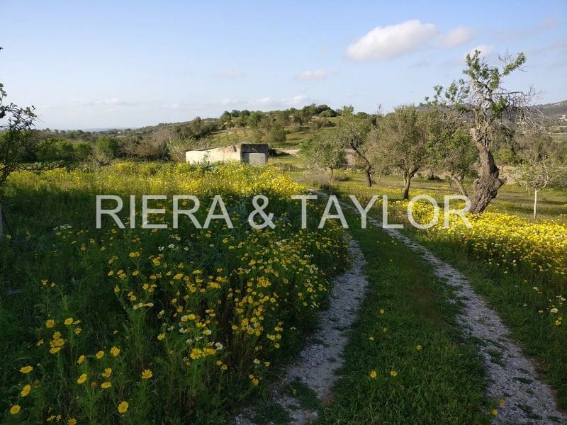 5 soveværelse Finca/Landehus til salg i Son Macia - € 2.180.000 (Ref: 5985575)