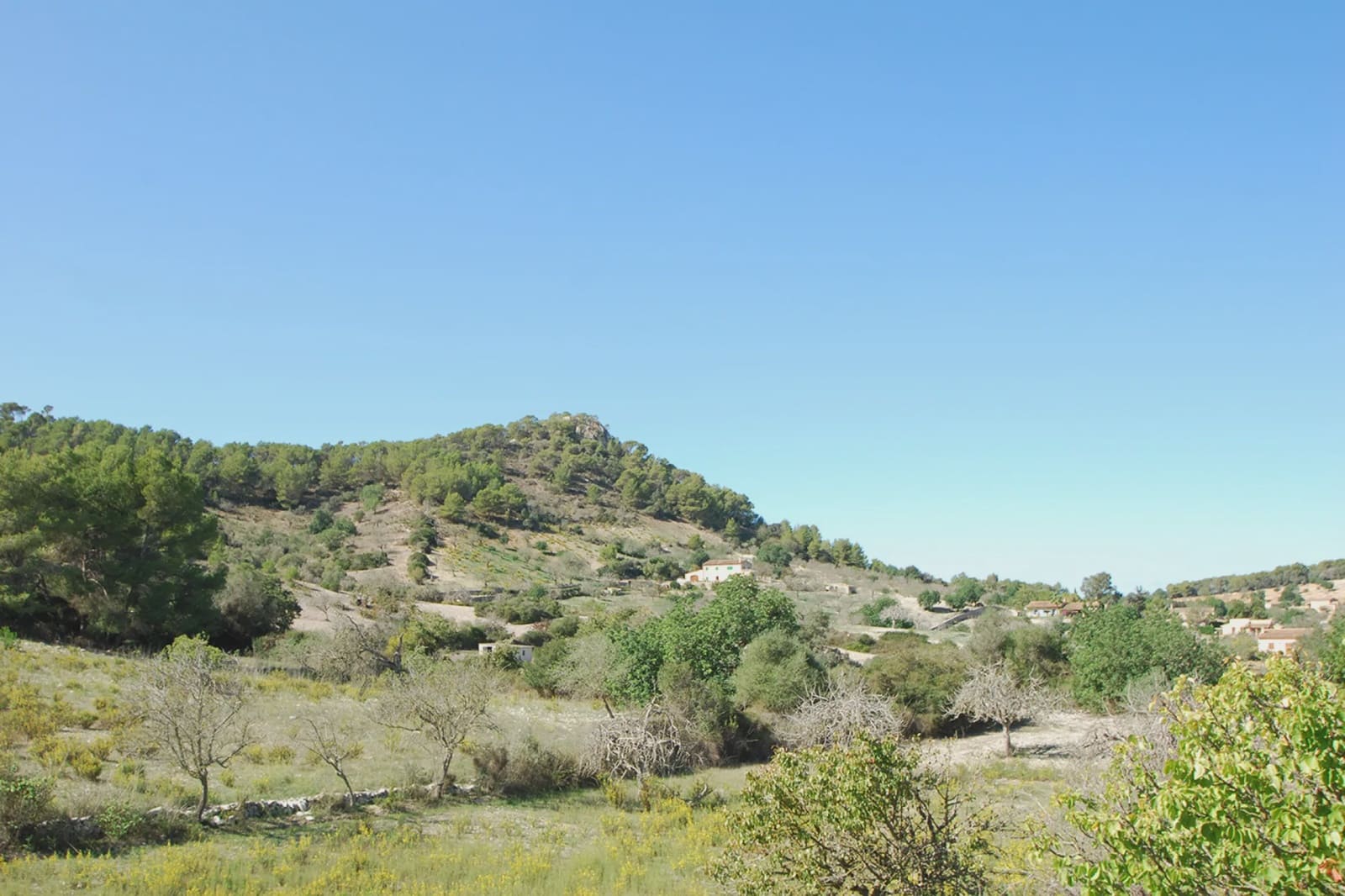 5 bedroom Finca/Country House for sale in Son Macia - € 2,180,000 (Ref: 5985575)