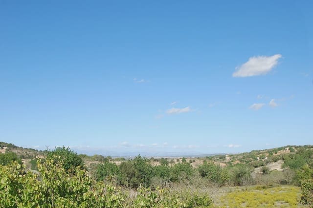 5 soveværelse Finca/Landehus til salg i Son Macia, Manacor - € 2.180.000 (Ref: 5985575)