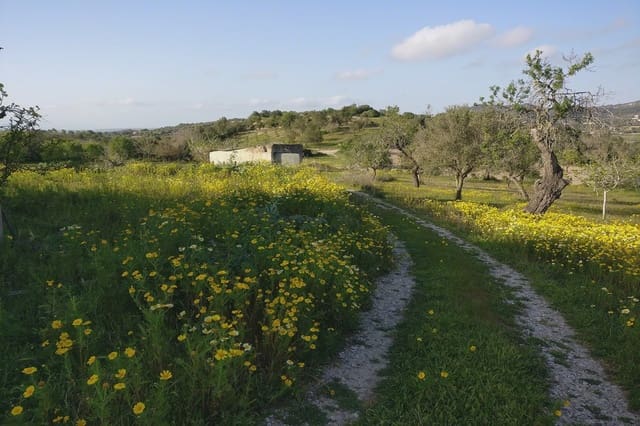 5 soveværelse Finca/Landehus til salg i Son Macia, Manacor - € 2.180.000 (Ref: 5985575)