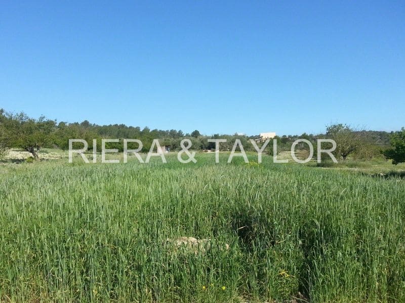 4 quarto Quinta/Casa Rural para venda em Porreres - 1 750 000 € (Ref: 5986618)