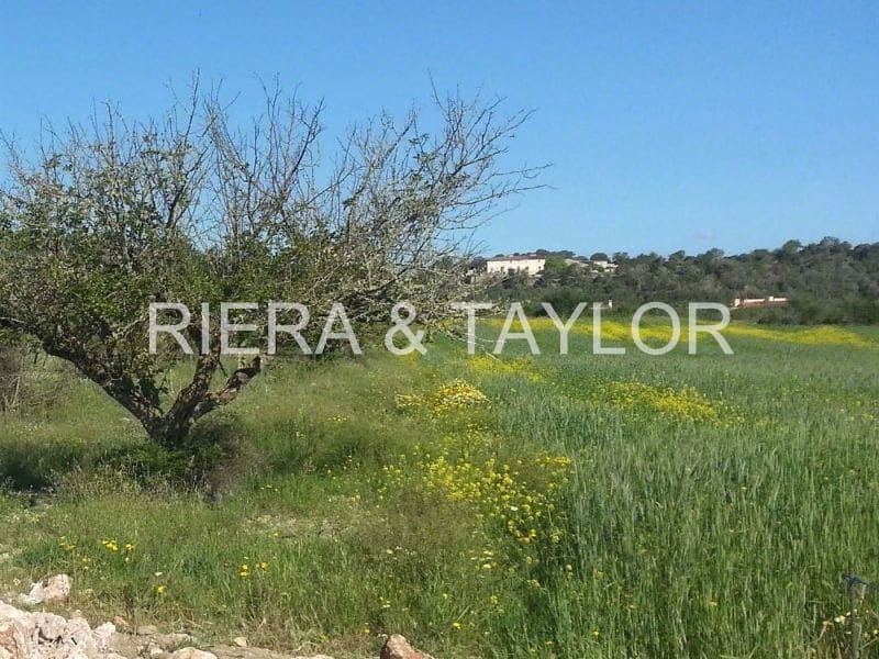 4 quarto Quinta/Casa Rural para venda em Porreres - 1 750 000 € (Ref: 5986618)